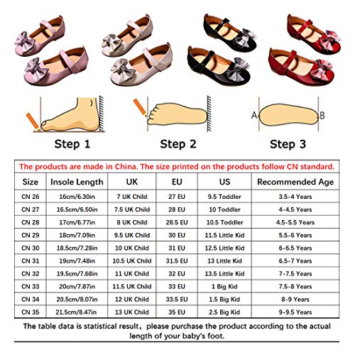 DEBAIJIA Princess Niñas Zapatos 2-9 Años Zapatillas Moda Niños Clásico Hermosa Flor Tendencia Primavera Otoño Fondo Suave Cuero Baile Dulce Pequeño Fresco Caminar Al Aire Libre