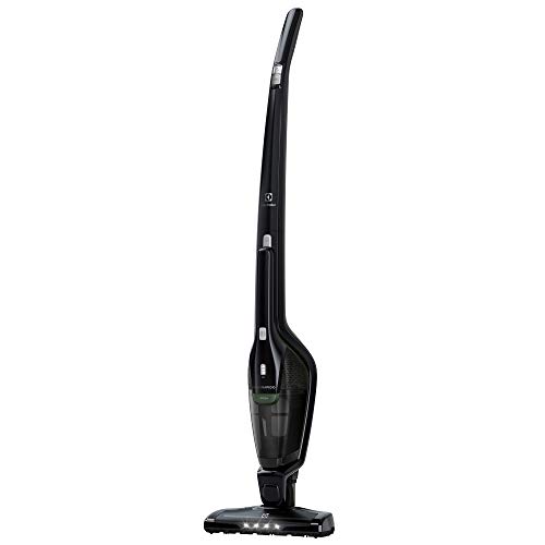 Electrolux eer7green Escoba eléctrica Ergorapido 2 IN 1, sin Saco, Doble Filtro Lavable, Carga Completa de Sol 4 Horas, Ebony Black