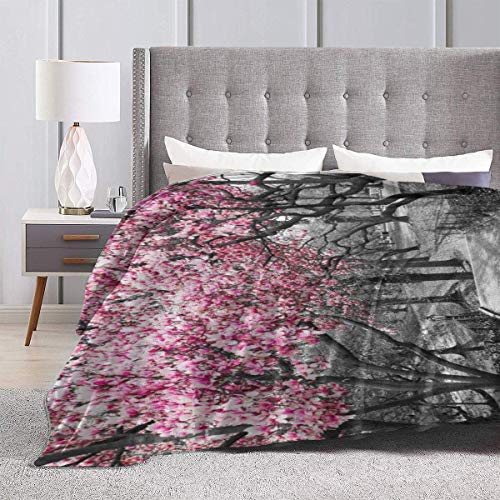 Etryrt Manta, Black Rose Gold Eyelashes Welcome Lanzar Manta Ultra Soft Manta de sofá Bed Blanket Quilt Durable Home Decor Fleece Blanket Sofa Blanket Luxurious Carpet for Men Women Kids