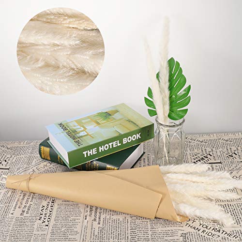 Familybox 30 Pcs Hierba de Pampa Phragmites Communis, Boda y fotografía de Manojo de Flores para la decoración del hogar Pampas Grass Decoracion, 60-75 cm