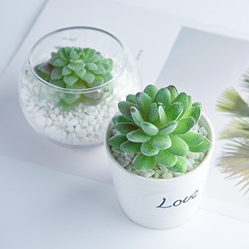 FEPITO 15 piezas artificiales plantas suculentas verde sin manchas Faux Flower Succulents Mini Echeveria selecciones a granel tallos para el hogar decoración interior de hadas del jardín