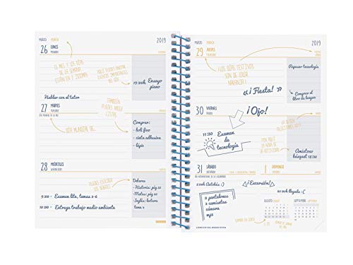 Finocam - Agenda, semana vista apaisada, español, Septiembre 2019 - Agosto 2020, Multicolor (Prints Palm)