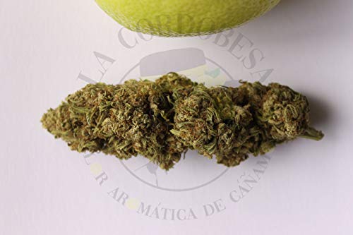 Flor aromática de Cáñamo La Cordobesa® Limonera - (16,50%) - 1 GRAMO - *NUEVO* - Cultivo Orgánico - Compuestos Activos - Vegano