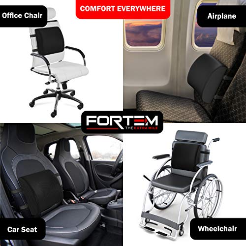 FORTEM Soporte Lumbar Cojín de Postura, Almohada para Respaldo de Silla de Oficina, Asiento de Coche, Viaje, Espuma Memoria de Forma con Funda Lavable