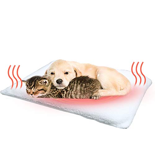 Fyore Manta autocalentable para Gatos & Perros Manta térmica Calentar Mascota Cobija Alfombra de Cama para Mascotas Auto calefacción para Mascotas, Perros y Gatitos para Viajes o casa,58x43 cm