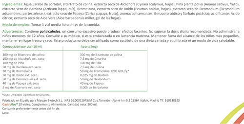 Gastrialoe Complemento Alimenticio a Base de Colina, Alcachofa, Bromelaína, Bardana, Boldo y Aloe Vera - Paquete de 20 x 10 ml - Total: 200 ml