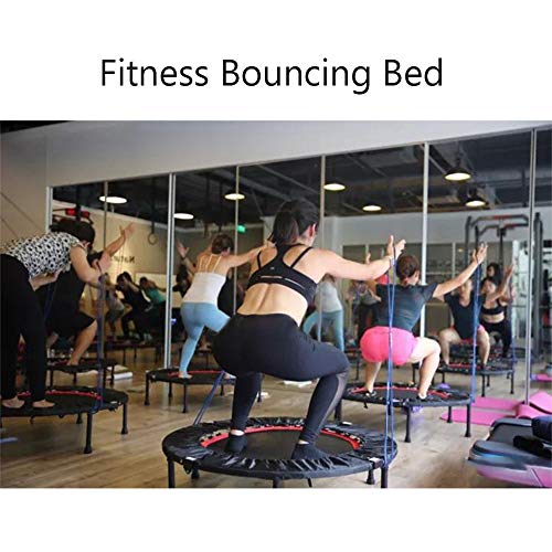 Godyluck- Fitness para Adultos Cama de Rebote Uso en el hogar Cama de Salto Plegable de Interior Gimnasio Ejercicio Cama de Rebote de Primavera Perder Peso Mini Trampolines