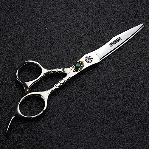 Japón 440 C peluquería Studio estilo profesional juego de herramientas para Fashion 6.0 pulgadas corte de pelo tijeras + tijeras de entresacar