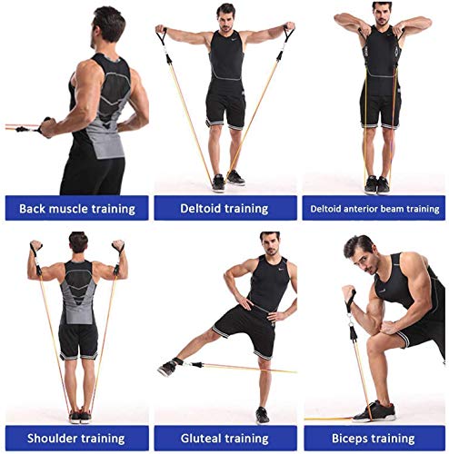 JSDing Bandas Elásticas Fitness | Conjunto de Bandas de Resistencia Mujeres Hombres 100 LB Bandas de Entrenamiento de Estiramiento físico Gimnasio en casa Gimnasio Fisioterapia