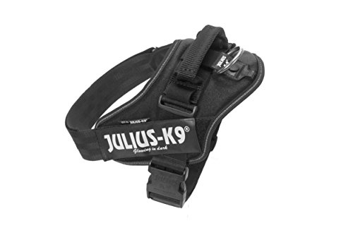 Julius-K9 16IDC - Power Harness