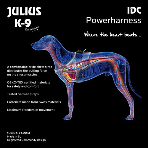 JULIUS-K9 Arnés Julius-K9 IDC, 2/L–XL, 71–96 cm/50 mm, Camuflaje, Perro