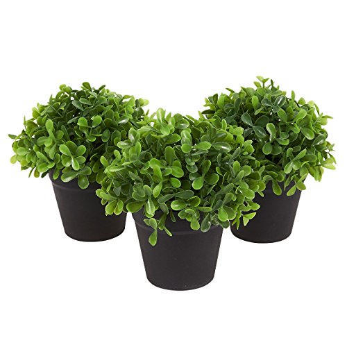 Juvale Planta Artificial decoración (Juego de 3) - casa de Las Plantas Artificiales de Interior decoración - 5 x 5,2 x 5 Pulgadas