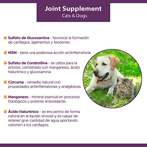 Kilva Suplemento antiinflamatorio Natural para Perros y Gatos, 120 cáp. Condroprotector. Condroitina, Glucosamina, Ácido hialurónico, Cúrcuma, MSM, Manganeso