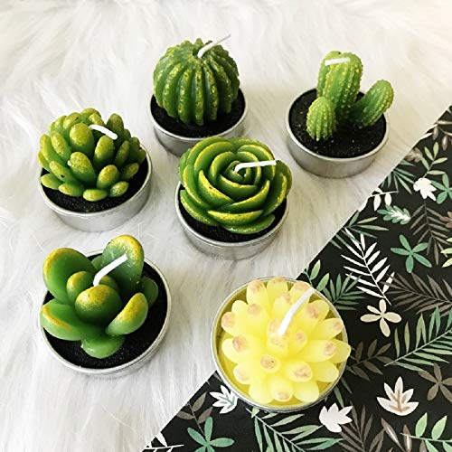 LA BELLEFÉE - 6 Velas Suculentas Plantas Cactus Decorativas para Casa Regalos para Halloween Navidad Cumpleaños Fiestas Boda Adorables Regalos para los Amantes de Suculentas