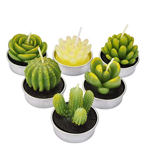 LA BELLEFÉE - 6 Velas Suculentas Plantas Cactus Decorativas para Casa Regalos para Halloween Navidad Cumpleaños Fiestas Boda Adorables Regalos para los Amantes de Suculentas