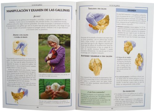 La cría de gallinas (Pequeñas Joyas)