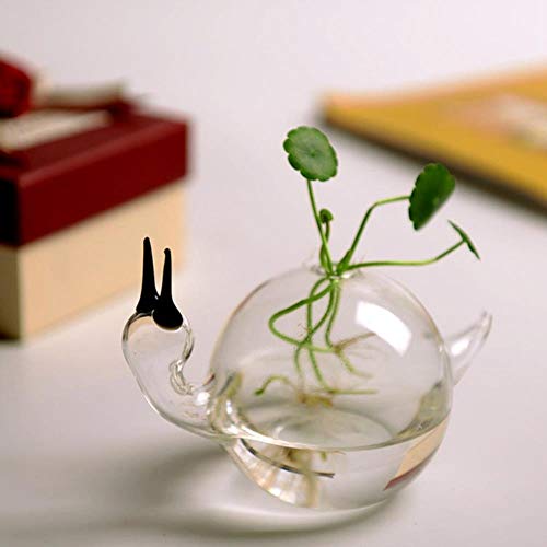 LDCP European Jase The Snail A Hydroponic Flower Implement Adornos artesanales para el hogar 2 Piezas, 12 cm