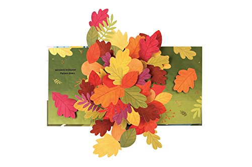 Leaves. An Autumn Pop Up Books (4 Seasons of Pop-Up)