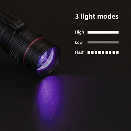 Linterna Ultravioleta, LED Linterna UV luz Negra, Luz Ultravioleta, UV Flashlight 395 nm Luz Lampara uv, Enfoque escalable, Mascotas orina y Mancha Detector Quitamanchas, Detector Billetes Falsos