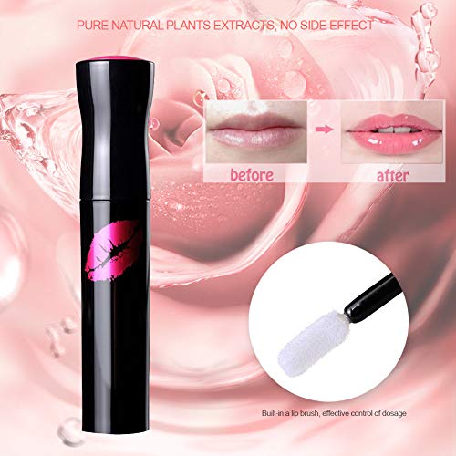 Lip Plumper Gloss Bálsamo para rellenar el labio hidratante orgánico natural con jojoba Hidratante Prevenir el agrietamiento Eliminar las arrugas de la piel muerta Exfoliante