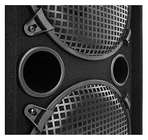 McGrey DJ-2222 - Altavoz para DJ o sala de fiesta 1000 W