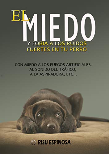 MIEDO A LOS PETARDOS Y RUIDOS FUERTES: DESCUBRE COMO HE AYUDADO A CIENTOS DE PERROS CON MIEDO A LOS FUEGOS ARTIFICIALES SONIDO DEL TRAFICO ASPIRADORA