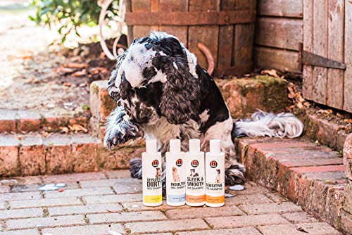 Mikki | Champú para Perros con Pelo Muy Sucio| 250 ml | Fragancia a piña Tropical |