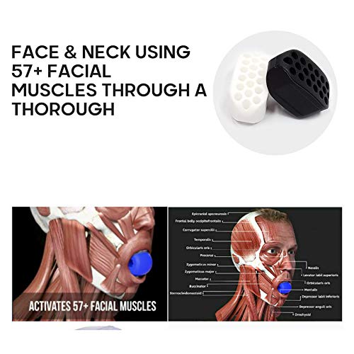 Músculos faciales Ejercitador de ejercicios de levantamiento facial de artefacto fitness bola cuello cara tonificación tamaño mandíbula equipo de fitness facial cara cara tono delgado su cara