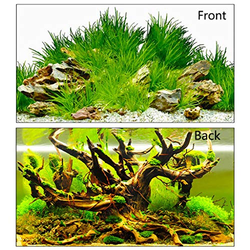 MYA - Pegatinas de Papel para Acuario 3D, decoración de Fondo para Peces de Doble Cara, océano, Coral, Hierba de Agua, Paisaje, póster Adhesivo para Acuario