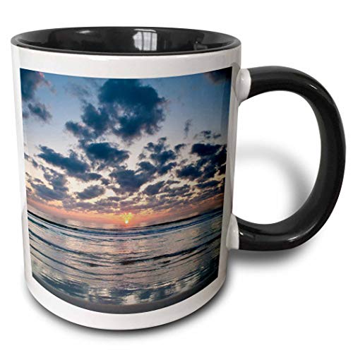 N\A Beach, Anastasia State Park, St Augustine, Florida-US10 RSP0006-Taza de Dos Tonos de Rob Sheppard, Negro/Blanco