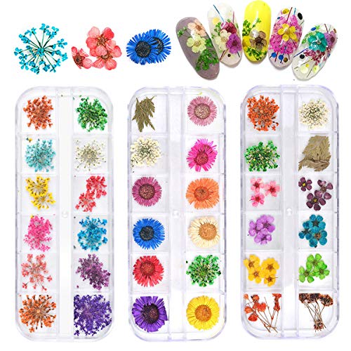 NATUCE Decoración de Uñas Flores Secas para Arte de Uñas, Natural Flor Seca de Uñas Manicura Decoracion 3d Flor Arte de Uñas Accesorio - 3 cajas, 12 colores/caja