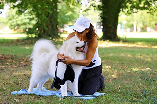 NATURE PET Férula para Callos/Correa de codera/muñequera para Bursitis, para Perros