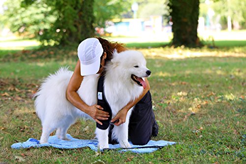 NATURE PET Férula para Callos/Correa de codera/muñequera para Bursitis, para Perros