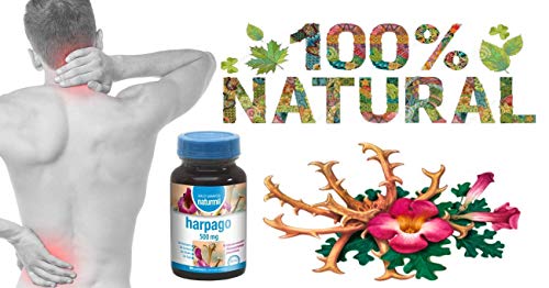 Naturmil HARPAGOFITO 500 mg 180 comprimidos (90 + 90), suplemento para articulaciones, cartílago, dolor articular y muscular, antiinflamatorio natural, sin gluten, sin azúcar.