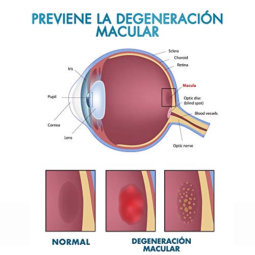 Optimizante y protector de la visión | Con luteína y mirtilo | Fortalece el tejido ocular y la retina | Mejora la visión diurna y nocturna | Tratamiento para la salud de los ojos | 60 unidades