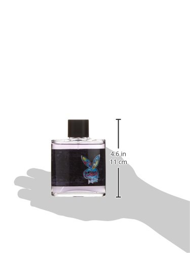 Playboy Playboy New York Eau de Toilette Vaporizador 100 ml