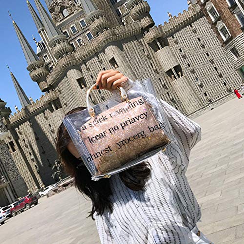 Poachers bolsos mujer bandolera baratos bolsos de mano mujer fiesta/Bolso Tote Jelly transparente para mujer Lentejuelas Net Net Mini Mini Bandolera Bolsos de Moda Mujer Messenger