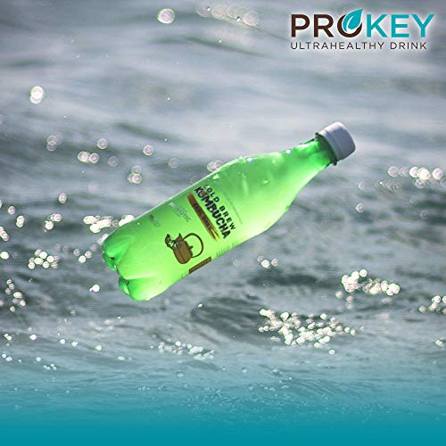 Prokey Kefir De Agua Probiótico Bio, Cold Brew Kombucha caja de 16 botellas de 500 ml