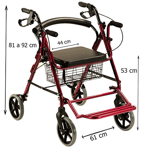 Queraltó Andador Rollator y Silla de Ruedas para Ancianos 2 en 1, Rojo