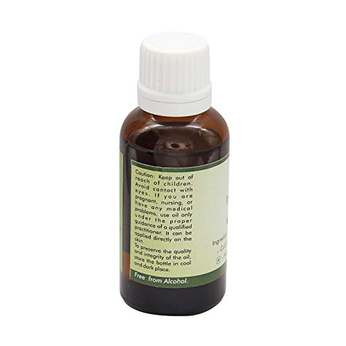 R V Essential Aceite de Marula pura del aceite del portador 10ml (0.338 oz)- Sclerocarya birrea (100% pura y fría natural prensada) Pure Marula Oil Carrier Oil