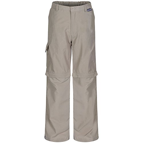 Regatta - Pantalón Convertible Modelo Sorcer para niños (11/12) (Platinum)