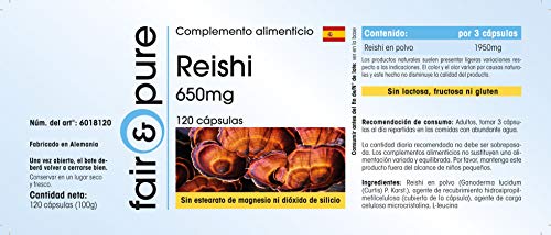 Reishi puro en Cápsulas - Hongo Reishi 650mg - Polvo encapsulado - Ganoderma lucidum vegano - Alta pureza - 120 Cápsulas