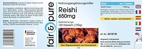 Reishi puro en Cápsulas - Hongo Reishi 650mg - Polvo encapsulado - Ganoderma lucidum vegano - Alta pureza - 120 Cápsulas