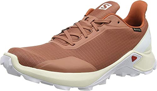 Salomon Alphacross GTX, Zapatillas de Trail Running para Hombre, Gris (Cedar Wood/Vanilla Ice/White), 43 1/3 EU