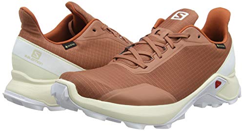 Salomon Alphacross GTX, Zapatillas de Trail Running para Hombre, Gris (Cedar Wood/Vanilla Ice/White), 43 1/3 EU