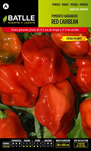 Semillas Hortícolas - Pimiento Habanero Red Caribbean - Batlle