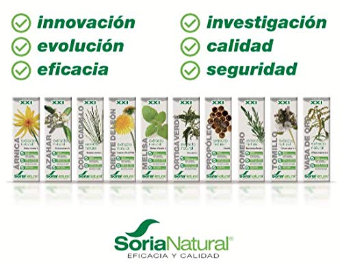 Soria Natural - COMPOSOR 8 - ECHINA COMPLEX S. XXI - Echinacea Pack de 2