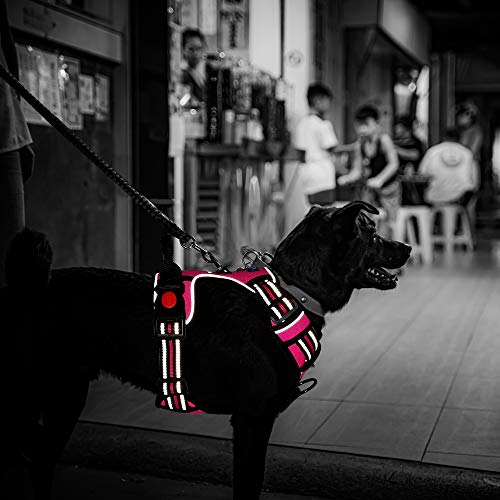 Supet Arnés para Perros Chaleco Ajustable para Mascotas al Aire Libre Arnés de Material Oxford Reflectante 3M para Perros Control fácil para Perros Pequeños Medianos Grandes