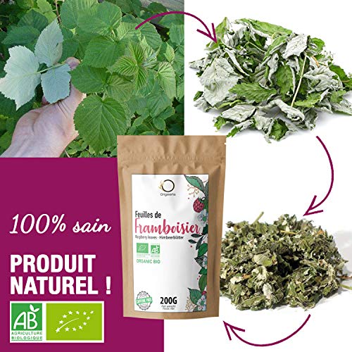 ☘️ Te Hojas de Frambuesa Organico 200g | Cura Bienestar Te Hojas Frambuesa: Infusión Final del Embarazo, Tila Lactancia, Reglas dolorosas | Raspberry Leaf Tea