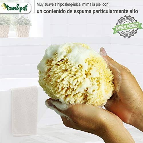 tom&pat® Esponja Natural Grass – Esponja de baño del mar Mediterráneo – Primera Calidad (13-14 cm)